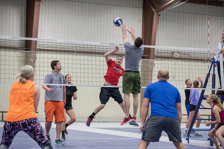 adult volleybal page