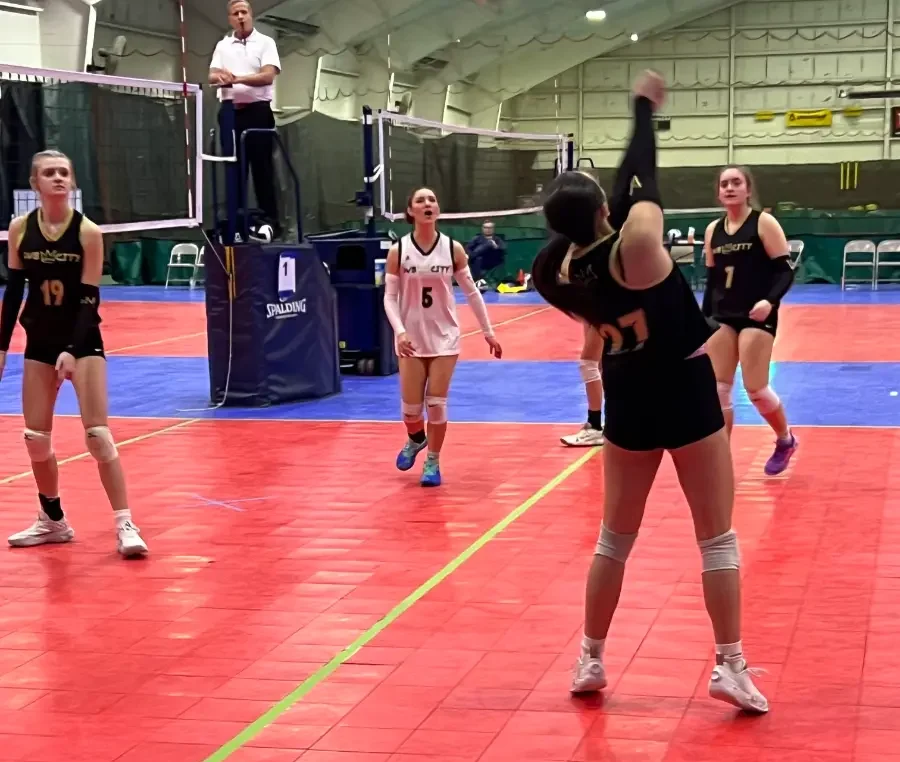 volleyball-clinic volleyball-clinic
